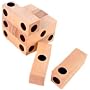 Dice Puzzle