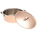 All-Clad Cop-R-Chef 6-Quart Stockpot