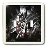 Angel Wings Designs Nature - Black and White Chrome Holly Leaves with hand colored berries - WOW - Light Switch Covers - double toggle switch