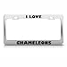 I Love Chameleons Chameleon Animal License Plate Frame Stainless