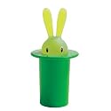 Magic Bunny