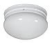 Yosemite Home Decor 2003-6WH Leslie 2-Light 9-1/2-Inch Ceiling Flush Mount, White Frame