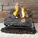 Real Flame 18-Inch Convert-to-Gel Log Set, Oak