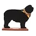 Newfoundland Breed Chalkboard : Size WALL