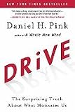 Pink, Daniel H) Drive: The Surprising Truth about What Motivates Us