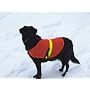 Petsavers Reflective Dog vest Large