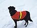 Petsavers Reflective Dog vest Large
