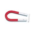 Jumbo Horseshoe Magnet by  School Specialty Publishing