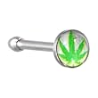 Surgical Steel White and Green GANGA LEAF Logo Nose Ring