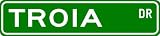 TROIA Street Sign ~ Personalized Family Lastname Sign ~ Gameroom, Basement, Garage Sign **