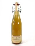 French all natural Cinnamon Cannelle syrup 25 cl 8.8 fl oz decorative old fashioned bottle