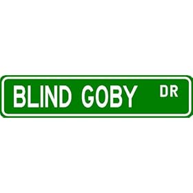 BLIND GOBY Street Sign ~ Fishing ~ Great Fish Sign for your Lodge, Gameroom, Basement,... by The Lizton Sign Shop