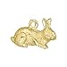 Rabbit Charm