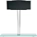 Speaker Stand (pair)
