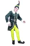 Adult ELF Costume - Fun for Holidays, Halloween and Plays! All Inclusive!