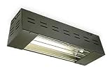 Dayton 1UCT6 Electric Infrared Heater, 1706 BtuH, 120V