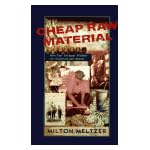 Cheap Raw Material: How Our Youngest Workers Are Exploited and Abused book cover