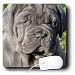 Dogs Neapolitan Mastiff - Neapolitan Mastiff - Mouse Pads