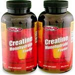 Prolab-Creatine Monohydrate Powder, 600 Gram