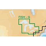 Gold Fish'N Chip Great Lakes MicroSD/SD