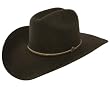Stetson&reg; 4X Chocolate Powder River Buffalo Hat
