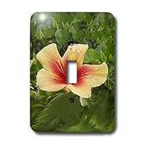 Flowers - Red and Yellow Hibiscus - Light Switch Covers - single toggle switch
