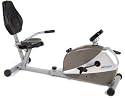 Stamina Magnetic Resistance Recumbent Bike