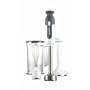 Kenwood HB714P Triblade Mixeur Plongeant Presse Pur�e M�tal 700 W