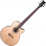Acoustic Bass Guitars
