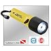 #2410N Recoil LED Pelican Nemo Diving Flashlight