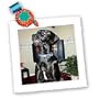 Dogs Great Dane - Black Great Dane - Quilt Squares