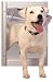 PetSafe Classic Pet Door - Medium - Satin Flap