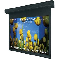 Lectric I 4:3 Motorized Projection Screen