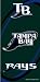 Tampa Bay Rays Fiber Reactive Pool/Beach/Bath Towel (Team Color)