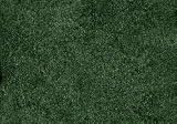 Dark Green, 20g Flock Miniature Modeling Ground Cover