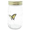 My Butterfly Collection - Animated Butterfly in a Jar - Yellow Swallowtail