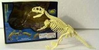 T-rex Dinosaur Skeleton Model