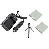 Buy ValuePack (2 Count): Replacement Battery PLUS Mini Battery Travel Charger for... by amsahr