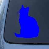 AMERICAN SHORTHAIR - Cat - Vinyl Decal Sticker #1486 | Vinyl Color: Blue