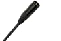 Monster Performer 500 Microphone Cable 20 ft. - gold contact XLRs P500-M-20