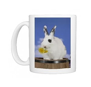 Rabbit - domestic white on barrel, feeding on dandelion Photo Mugs