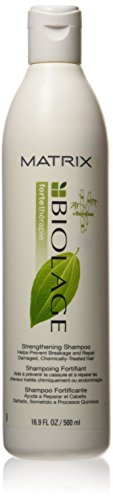 Matrix Biolage Strengthening Shampoo, 16.9 Ounce