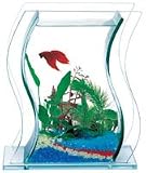 AquaVase Glass Aquarium - Dance (Red Sea)