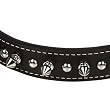 PETCO Leather 1" Dog Collar in Black with Metal Spikes PETCO Leather 1" Dog Collar in Black with Metal Spikes