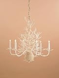 Currey and Company 9218 6 Light Seaward Chandelier, White Coral/Natural Sand Finish