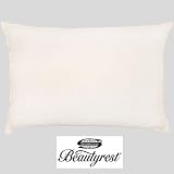 Simmons Beautyrest Stain Release Bed Pillow