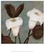 (11x14) Onan Balin Solace Art Print Poster