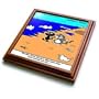 Cat Discovers Worlds Largest Litter Box - 8x8 Trivet With 6x6 Ceramic Tile
