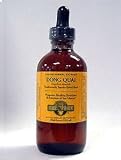Herb Pharm Dong Quai/Angelica sinensis Extract - 4 oz.
