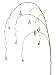 New - Pack of 12 Artificial Aqua Faux Crystal Water Drop Decorative Floral Sprays 62 by Gordon